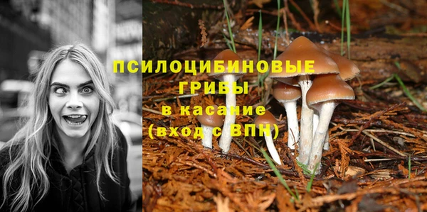 герыч Няндома