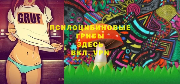 герыч Няндома