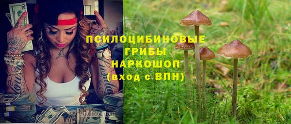 мдма Новодвинск